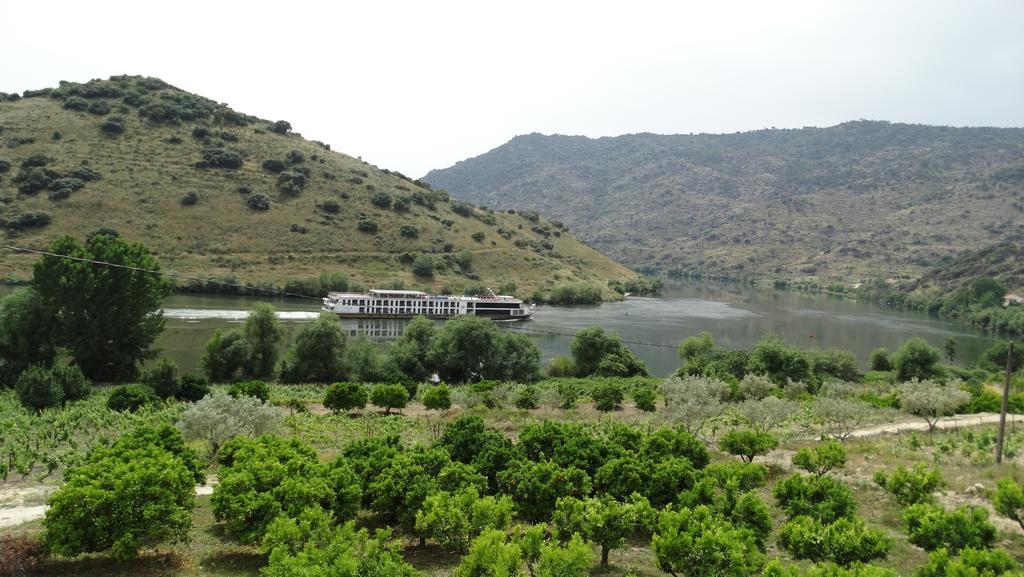 Olhares Do Douro Guest House Torre De Moncorvo Exterior photo